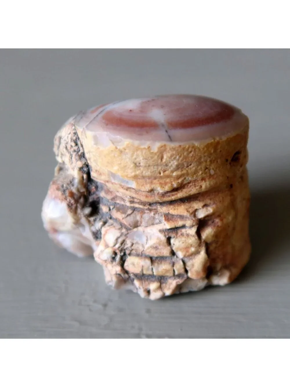 Agatized Petrified Wood Stone Specimen Pink Agate Jasper Rough Mineral